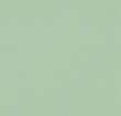 Matt Thyme Green