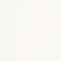 Matt Optic White