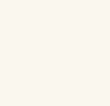 Matt Optic White