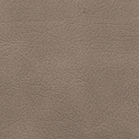 Desert